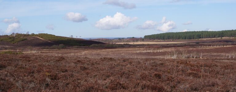 Ferndown